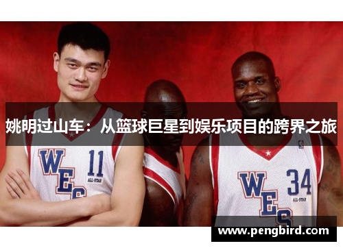 姚明过山车：从篮球巨星到娱乐项目的跨界之旅