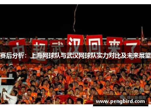 赛后分析：上海网球队与武汉网球队实力对比及未来展望
