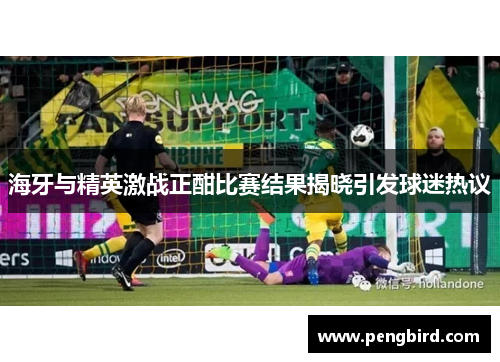 海牙与精英激战正酣比赛结果揭晓引发球迷热议